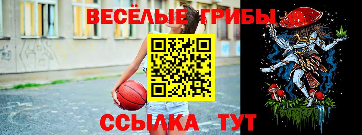 Галлюциногенные грибы ЛСД  Галлюциногенные грибы GOLDEN TEACHER  Вход с VPN  Гурьевск 